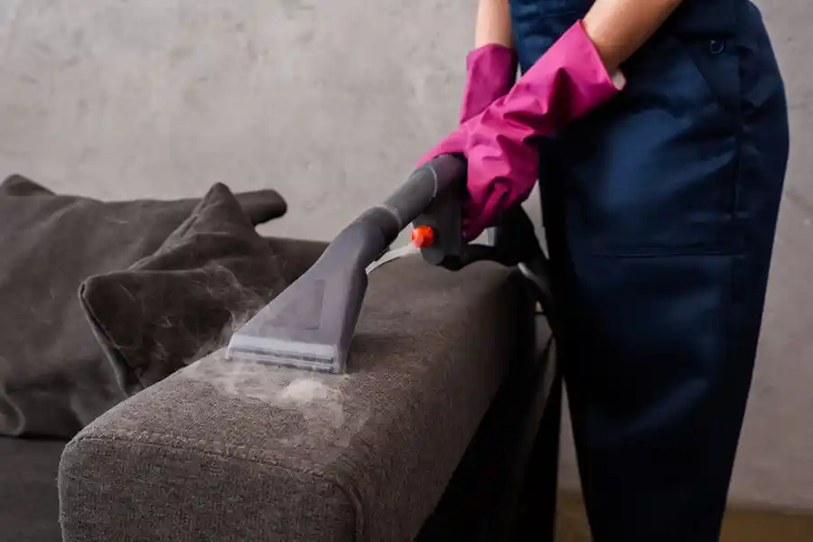 Steam Cleaning Steam Cleaning