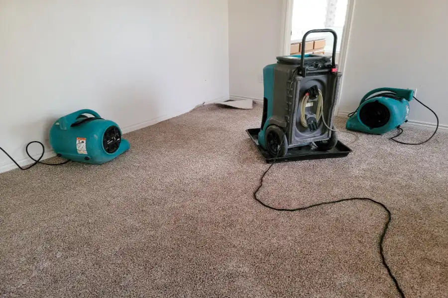 Water Extraction For Faster Carpet Drying Results Panama City, FL