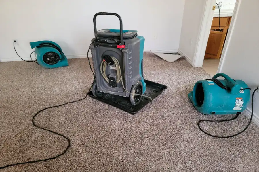 Water Extraction For Faster Carpet Drying Results in Panama City, FL